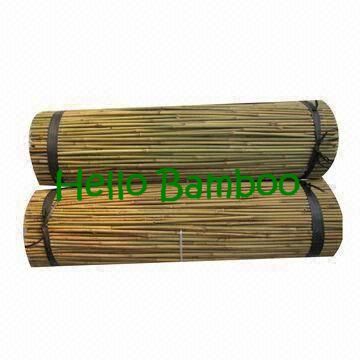 Bamboo cane