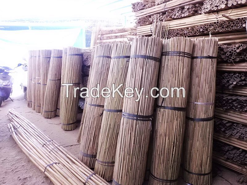 Tonkin bamboo cane