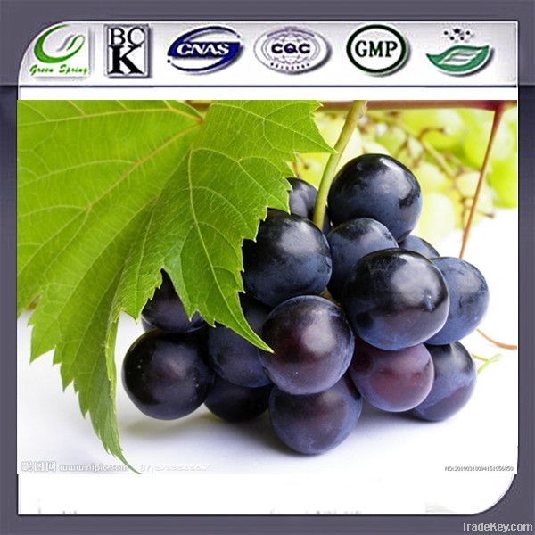 Gape Seed Extract