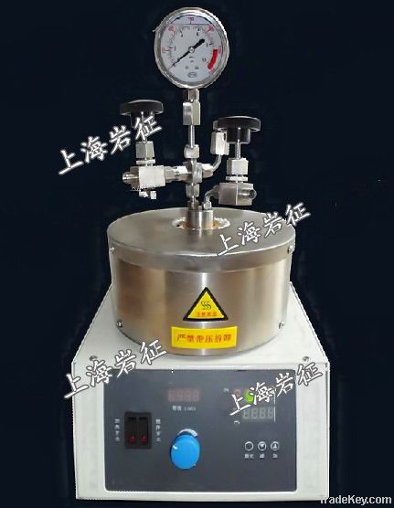 25ml magnetic high-pressure reactor