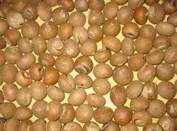 Betel Nut / Areca Nut, Supari