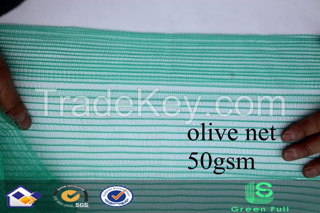 6*6m Dark Green Olive Harvest Net