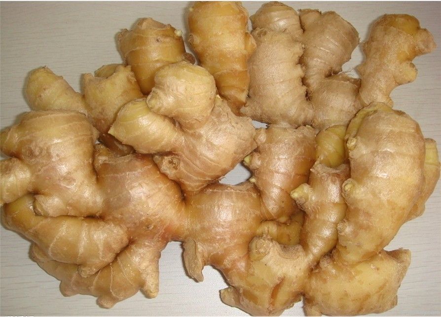 export chinese cheap fresh ginger