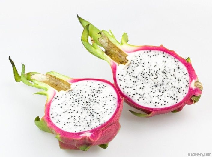 Vietnam Pitaya Dragon Fruit