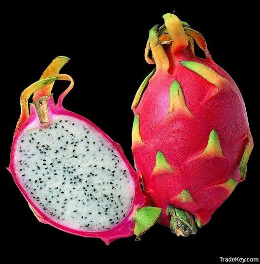 Vietnam Pitaya Dragon Fruit