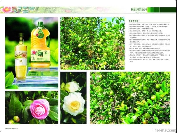 Organic Camellia Oil