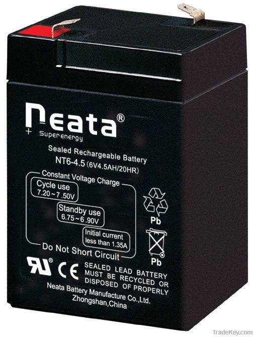 lead acid battery