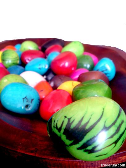 Tagua Seeds