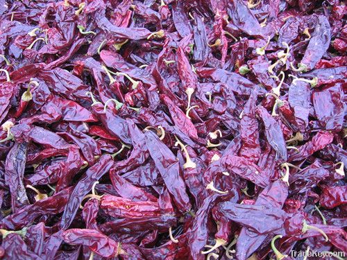 High quality paprika pods (washing and drying)