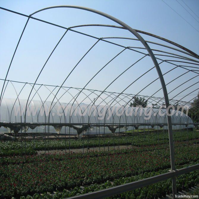 Vegetable Greenhouse for lettuce