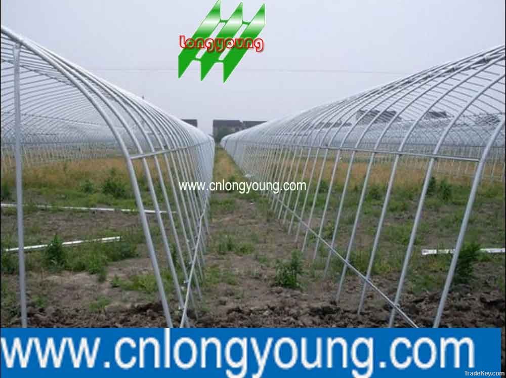 Economic Tunnel Greenhouse