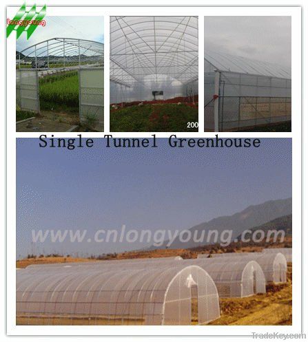 Tunnel Greenhouse for agriculture