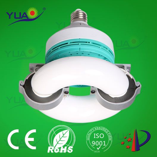 Professional Energy-saving Induction Self-ballasted Light