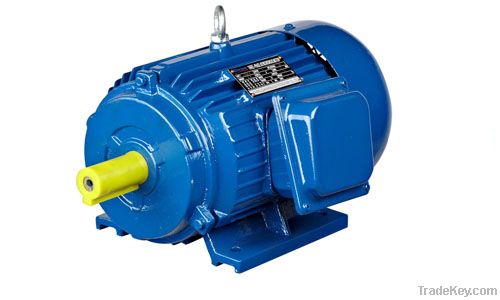 Y series three phase electric motor