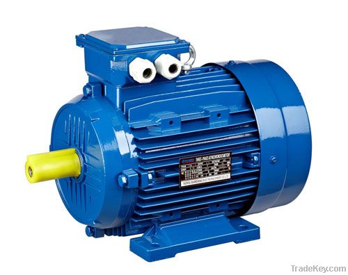 MS series three phase electric motor