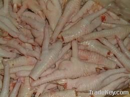  Export Chicken Paw | Chicken Feet Suppliers | Poultry Feet Exporters | Chicken Feets Traders | Processed Chicken Paw Buyers | Frozen Poultry Paw Wholesalers | Low Price Freeze Chicken Paw | Best Buy Chicken Paw | Buy Chicken Paw | Import Chicken Paw | Ch