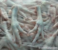  Export Chicken Paw | Chicken Feet Suppliers | Poultry Feet Exporters | Chicken Feets Traders | Processed Chicken Paw Buyers | Frozen Poultry Paw Wholesalers | Low Price Freeze Chicken Paw | Best Buy Chicken Paw | Buy Chicken Paw | Import Chicken Paw | Ch