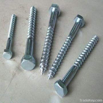 DIN571 Wood Screw