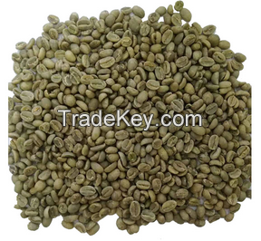 Green Arabica Coffe Beans