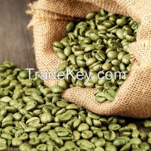 Green Arabica Coffe Beans