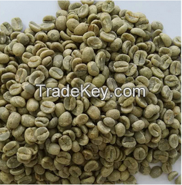 Green Arabica Coffe Beans