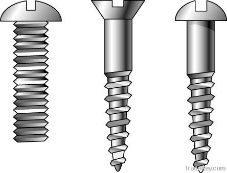 All type of Screw