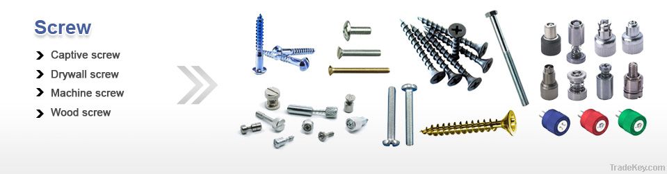 Automobile fasteners,