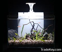 Ultra Clear Glass Aquarium