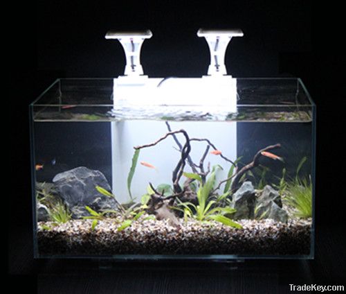 Ultra Clear Glass Aquarium