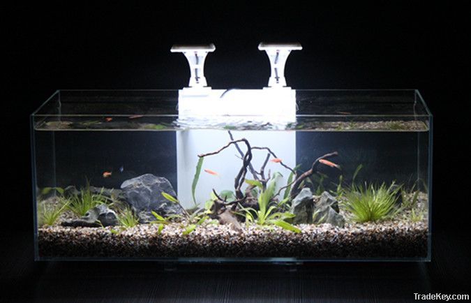 Ultra Clear Glass Aquarium