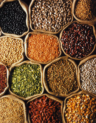 GRAINS &amp; PULSES