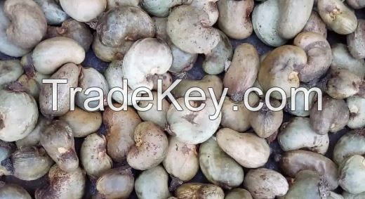 Cashew nuts