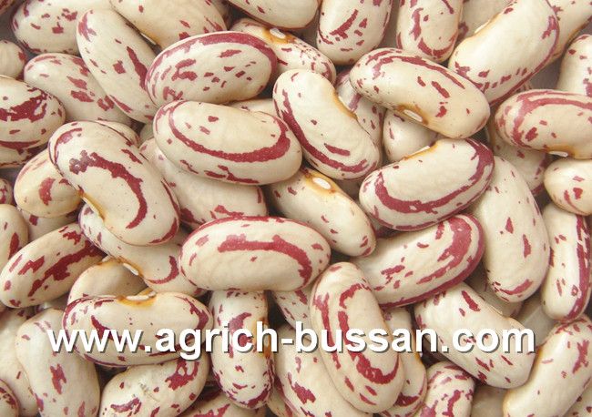 Light Speckled Kidney Beans (Long Shape)