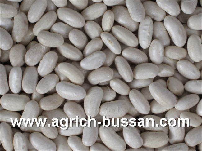 White Kidney Beans (Baishake)