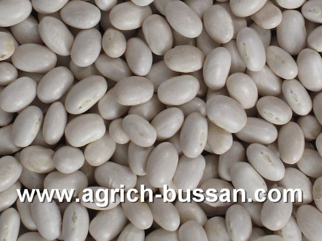 White Kidney Beans (Japanese Type)