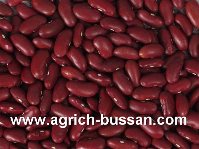 Dark Red Kidney Beans