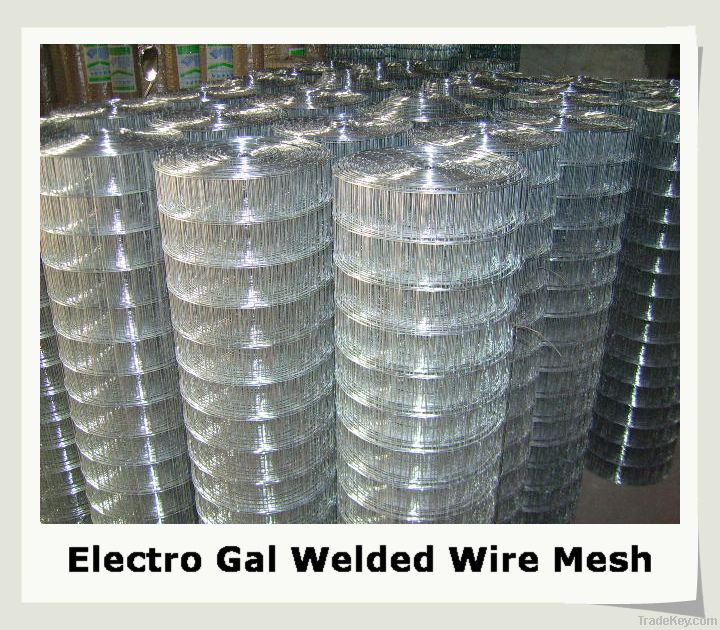 stainless steel Welded Wire Mesh(factory)