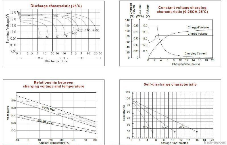 12V17AH Matrix battery