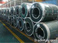 Stainless Steel Coil