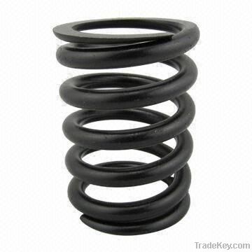 Valve Spring