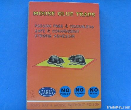 sticky mouse or rat glue board trap