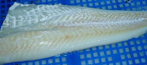 Alaska Pollock