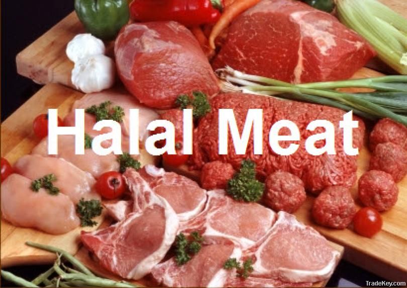 Halal meat and chicken