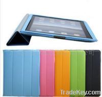 Ipad Case (Leather)