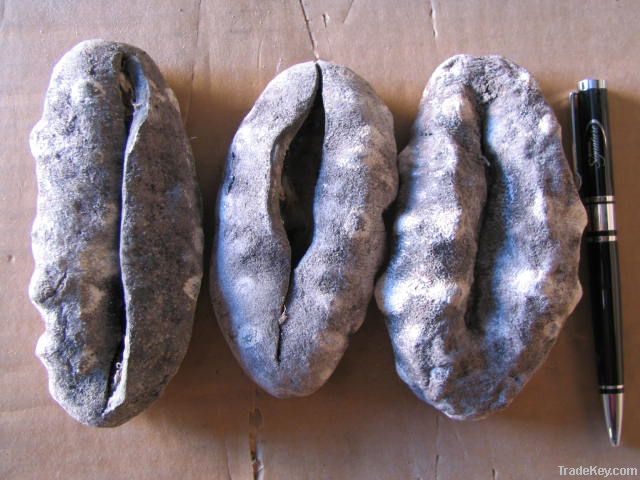 white teat dried sea cucumber