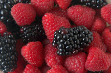 Berry fruits