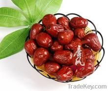 FRUIT JUJUBE