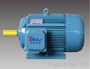 Y3 Series Motor with Model