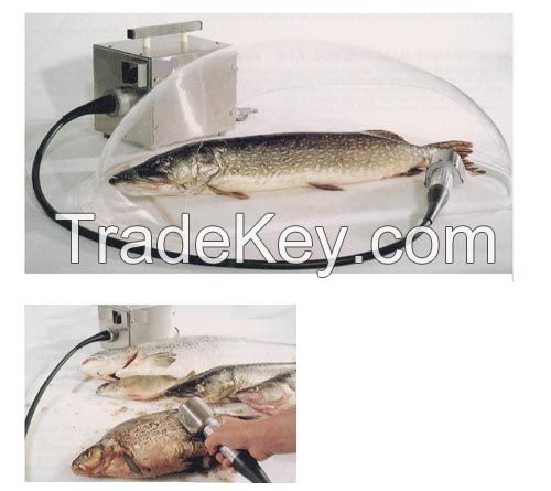 SQM - MANUAL FISH-SCALING MACHINE