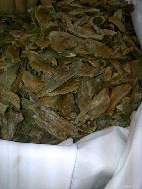 Agarwood, Agar wood, oud, oudh, dehnal oud, bakhoor, bakhur, mukhalat